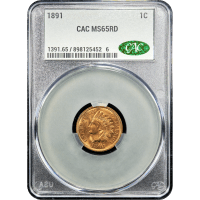 1891 Indian Cent (1c) Obverse Slab Image