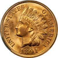 1891 Indian Cent (1c) Obverse Image
