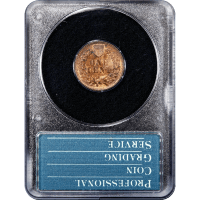 1891 Indian Cent (1c) Rattler Reverse Slab Image