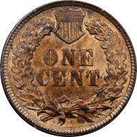 1891 Indian Cent (1c) Rattler Reverse Image