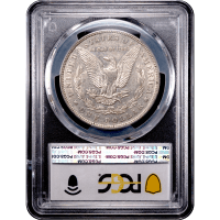 1893 Morgan Dollar ($1) Reverse Slab Image