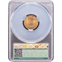 1895 Indian Cent (1c) Reverse Slab Image