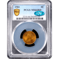 1901 Indian Cent (1c) Obverse Slab Image