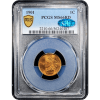 1901 Indian Cent (1c) SLAB Image