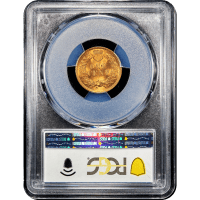 1901 Indian Cent (1c) SLAB Image
