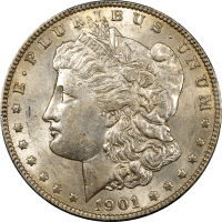 1901 Morgan Dollar ($1) Obverse Image