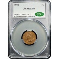 1902 Indian Cent (1c) Obverse Slab Image