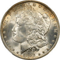 1902-O Morgan Dollar ($1) Obverse Image