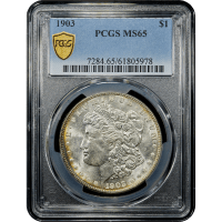 1903 Morgan Dollar ($1) SLAB Image