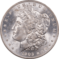 1903-O Morgan Dollar ($1) Obverse Image
