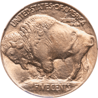 1913 Type 1 Buffalo Nickel (5c) Reverse Image