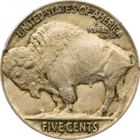 1916 Doubled Die Buffalo Nickel (5c) REVERSE Image