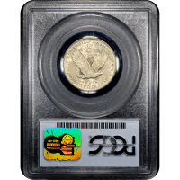 1921 Standing Liberty Quarter (25c) Reverse Slab Image