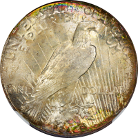 1922 Peace Dollar ($1) Rainbow Toner REVERSE Image