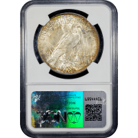 1922 Peace Dollar ($1) Rainbow Toner SLAB Image