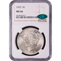 1923 Peace Dollar ($1) Obverse Slab Image