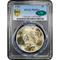 1923 Peace Dollar ($1) Obverse Slab Image