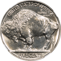 1936 Buffalo Nickel (5c) Brilliant Reverse Image