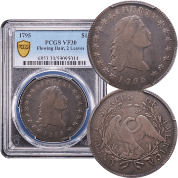 1795 Flowing Hair Dollar ($1) 2 Leaves Composite Image