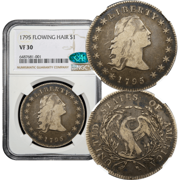 1795 Flowing Hair Dollar ($1) 3 Leaves Composite Image