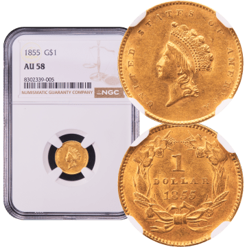1855 Gold Dollar ($1) Composite Image