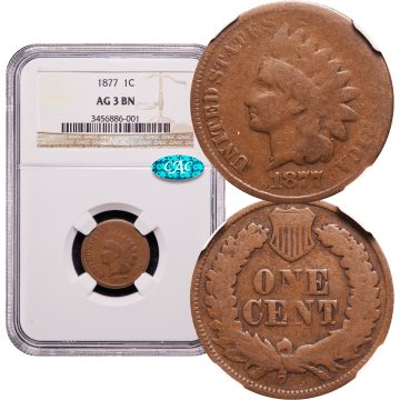 1877 Indian Cent (1c) Composite Image