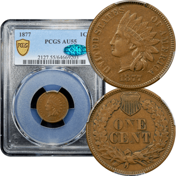 1877 Indian Cent (1c) Composite Image