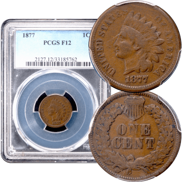 1877 Indian Cent (1c) Composite Image