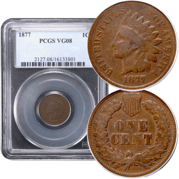 1877 Indian Cent (1c) Composite Image