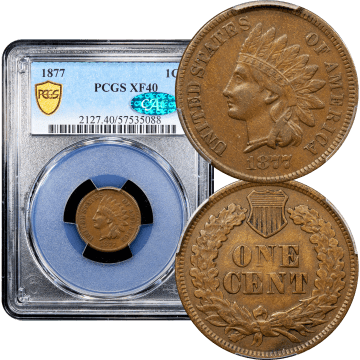 1877 Indian Cent (1c) Composite Image