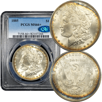 1885 Morgan Dollar ($1) Composite Image