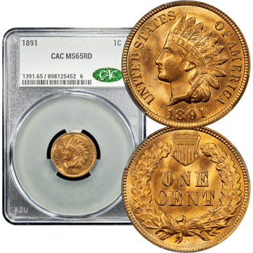 1891 Indian Cent (1c) Composite Image