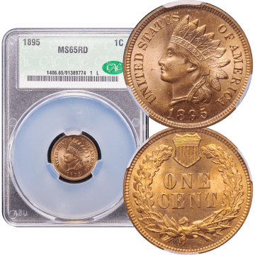 1895 Indian Cent (1c) Composite Image