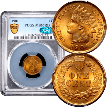 1901 Indian Cent (1c) Composite Image