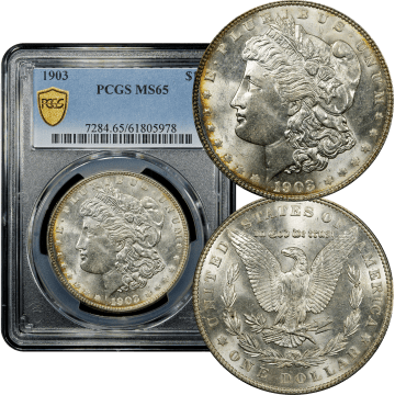 1903 Morgan Dollar ($1) Composite Image