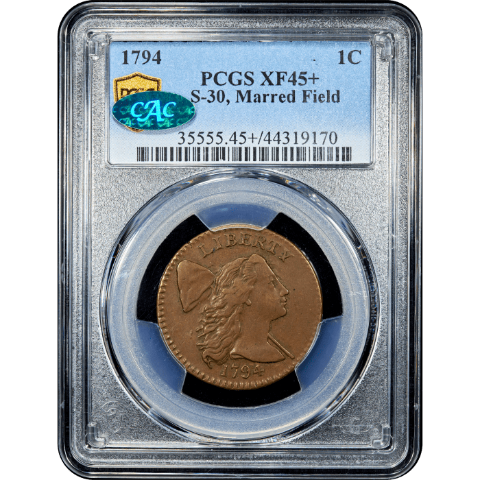 1794 Flowing Hair Large Cent (1c) S-30 Marred Field Obverse Slab Image