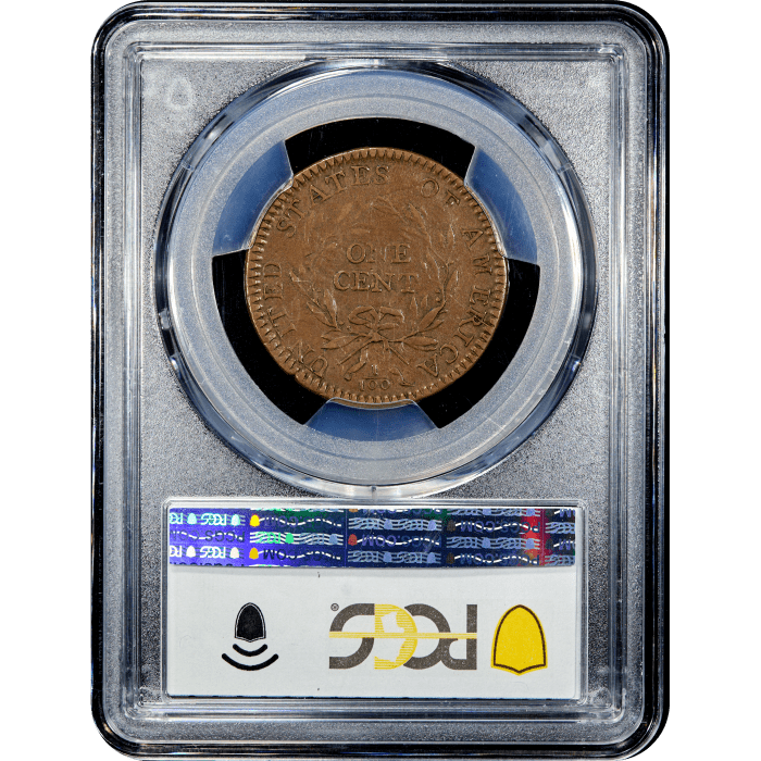 1794 Flowing Hair Large Cent (1c) S-30 Marred Field Reverse Slab Image