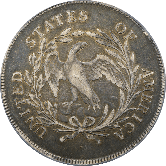 1795 Draped Bust Dollar ($1) Off-Center REVERSE Image