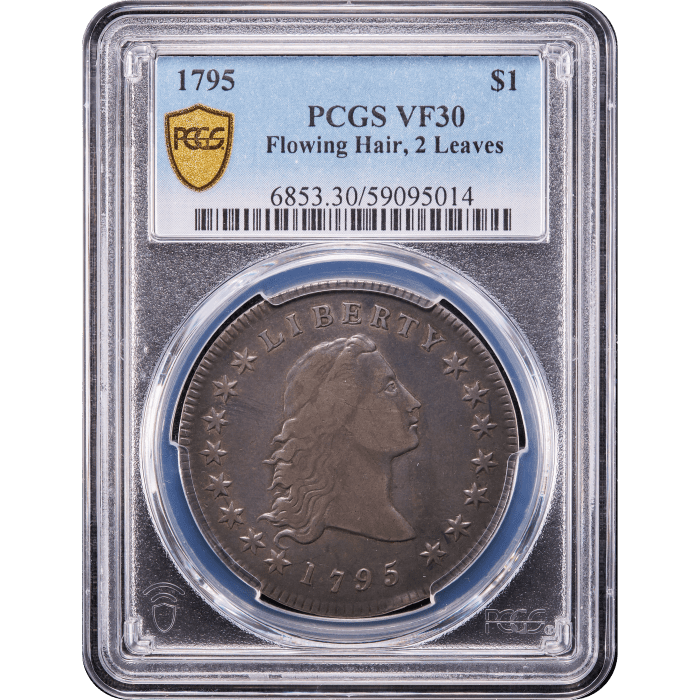 1795 Flowing Hair Dollar ($1) 2 Leaves Obverse Slab Image