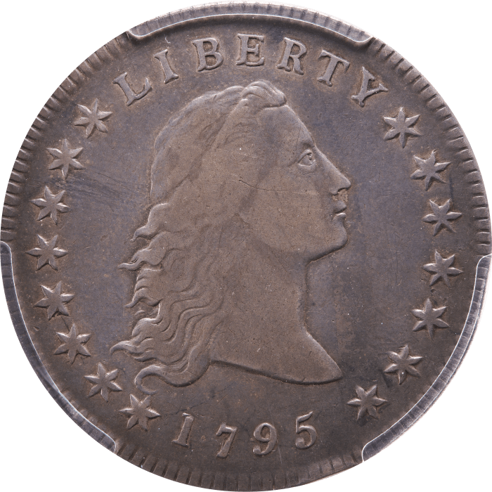 1795 Flowing Hair Dollar ($1) 2 Leaves Obverse Image