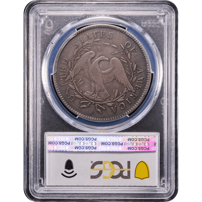 1795 Flowing Hair Dollar ($1) 2 Leaves Reverse Slab Image