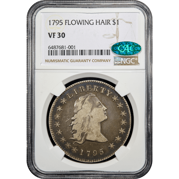 1795 Flowing Hair Dollar ($1) 3 Leaves Obverse Slab Image