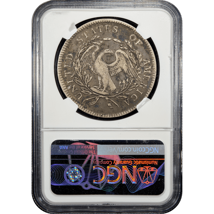 1795 Flowing Hair Dollar ($1) 3 Leaves Reverse Slab Image