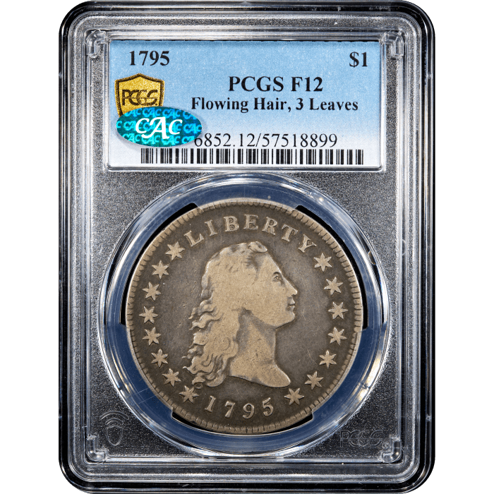 1795 Flowing Hair Dollar ($1) 3 Leaves Obverse Slab Image