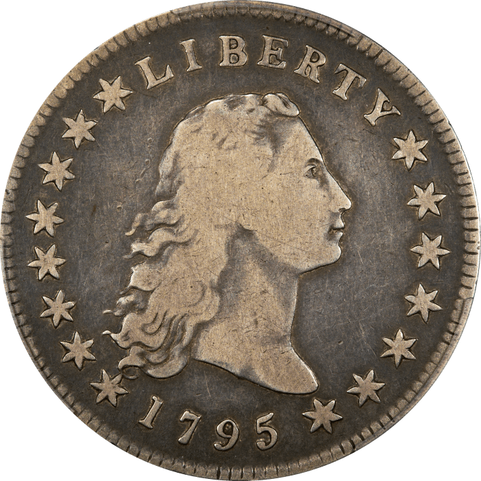 1795 Flowing Hair Dollar ($1) 3 Leaves Obverse Image