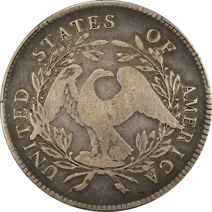 1795 Flowing Hair Dollar ($1) 3 Leaves Reverse Image