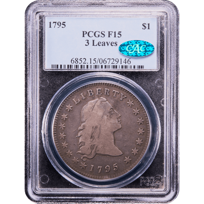 1795 Flowing Hair Dollar ($1) 3 Leaves Obverse Slab Image