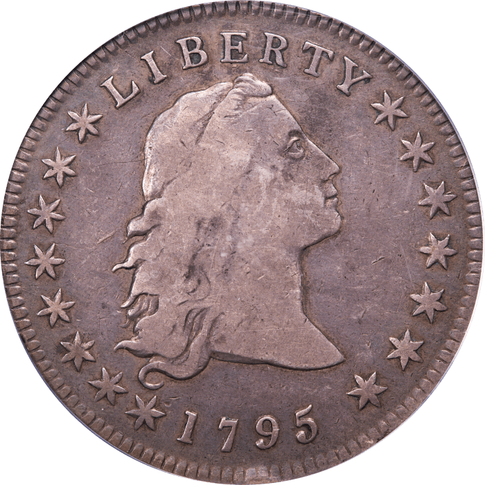 1795 Flowing Hair Dollar ($1) 3 Leaves Obverse Image