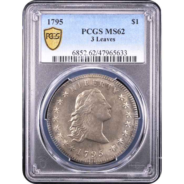 1795 Flowing Hair Dollar ($1) 3 Leaves Obverse Slab Image