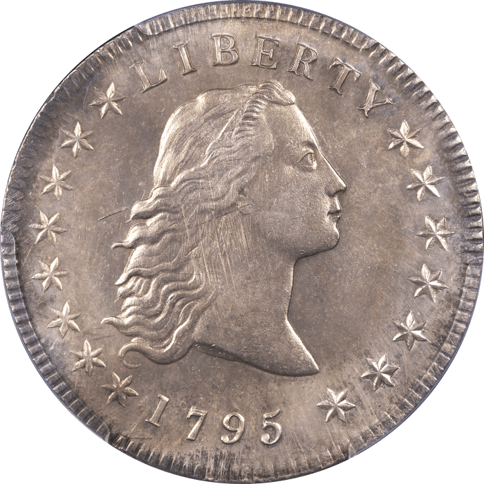 1795 Flowing Hair Dollar ($1) 3 Leaves Obverse Image